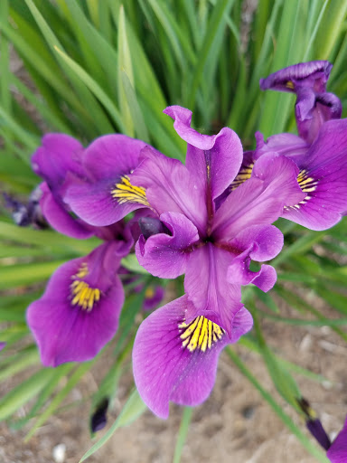 Pet Supply Store «Mini Pet Mart», reviews and photos, 815 S Broadway, Coos Bay, OR 97420, USA