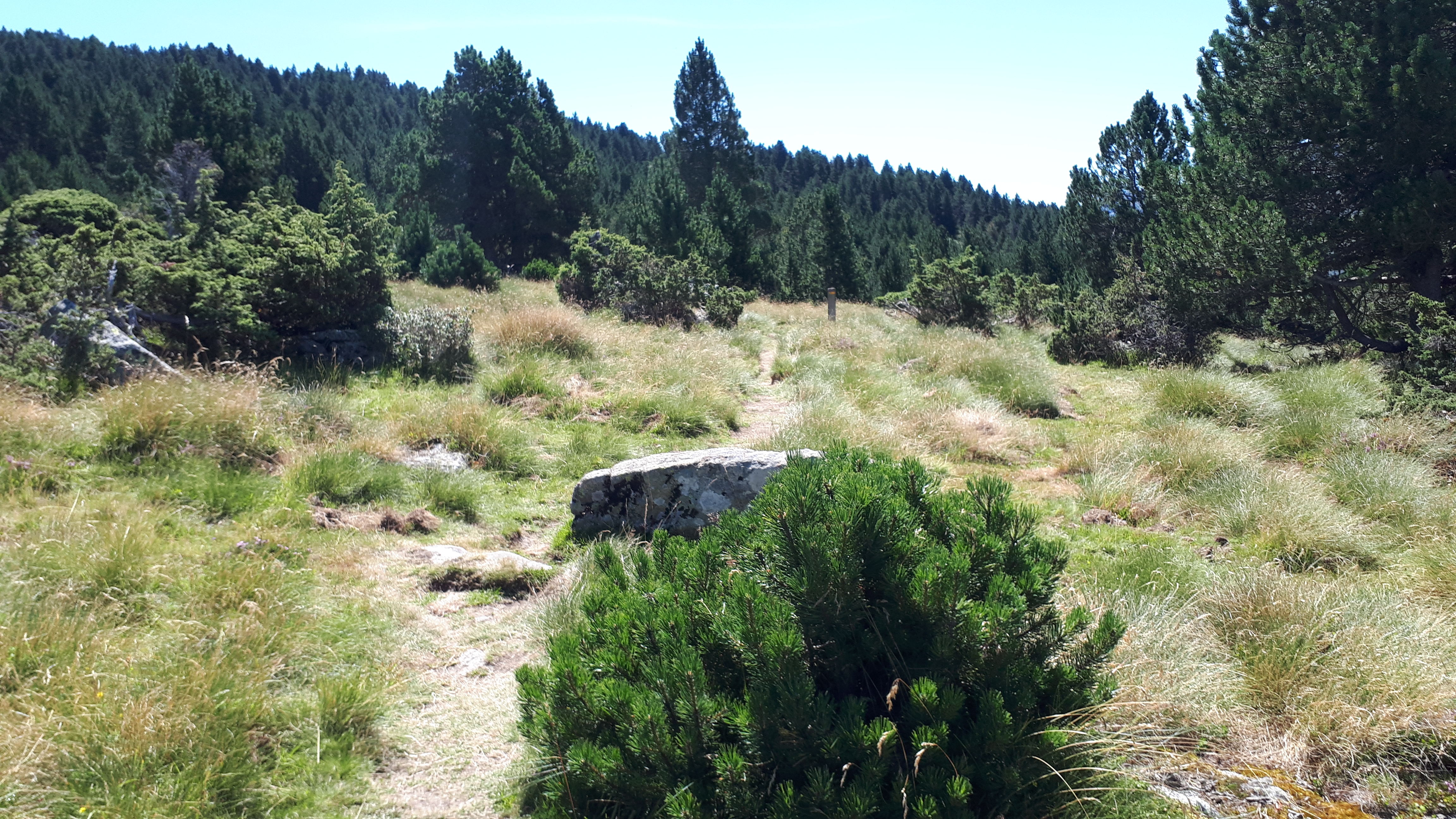Photo n° 18 de l'avis de Christophe.e fait le 16/08/2019 à 17:19