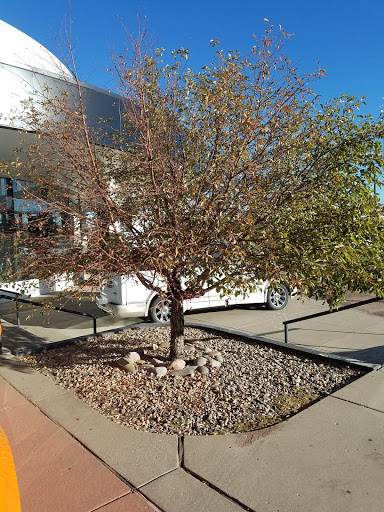 GMC Dealer «Ferguson Buick GMC», reviews and photos, 950 S Academy Blvd, Colorado Springs, CO 80910, USA