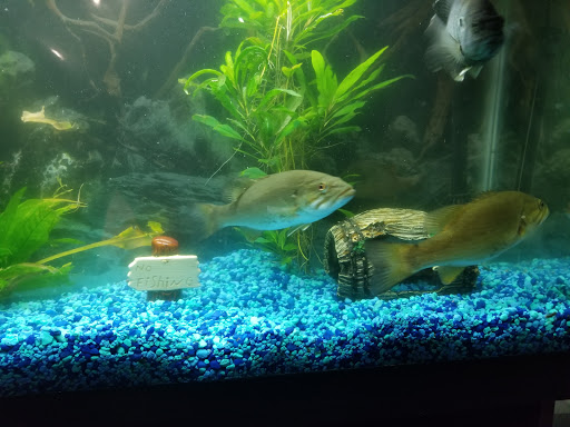 Sporting Goods Store «Denny Dennis Sporting Goods», reviews and photos, 1 Gravois Rd, Fenton, MO 63026, USA