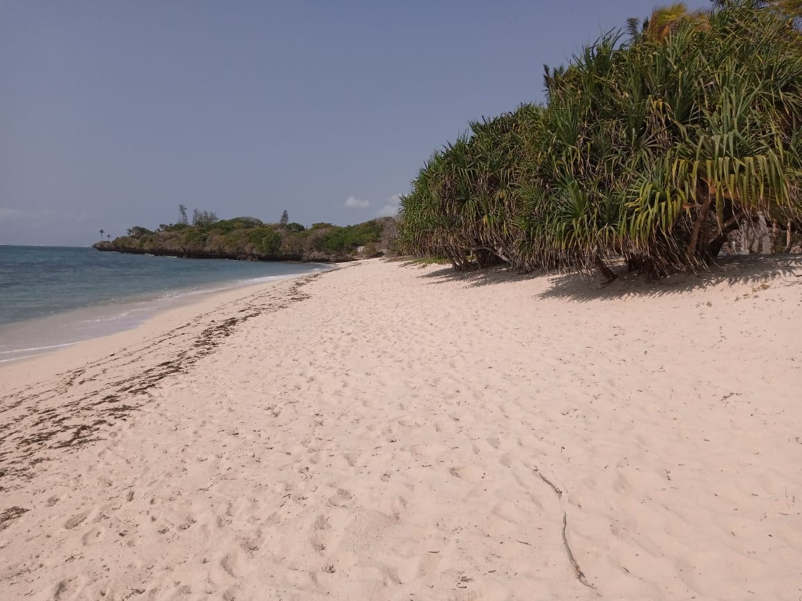 Fotografie cu Kuruwitu Beach cu o suprafață de nisip beige fin