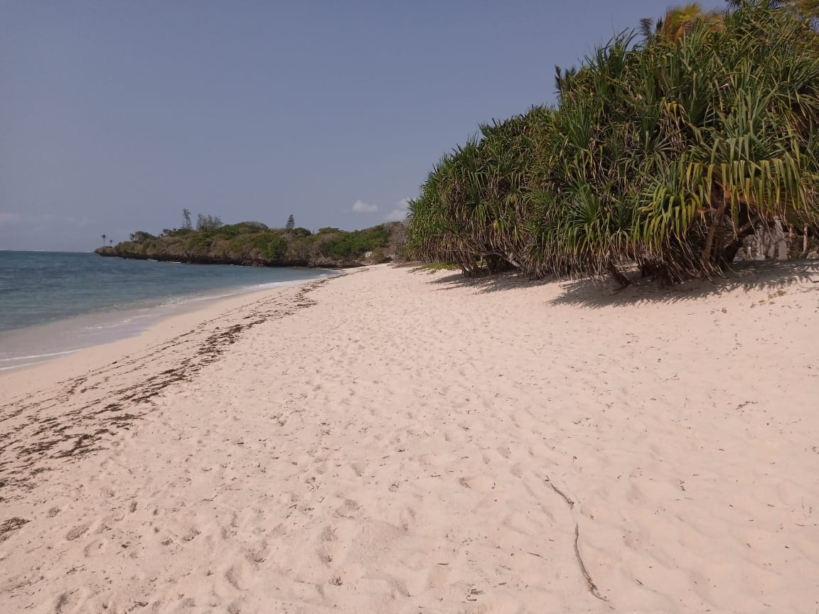 Foto de Kuruwitu Beach com areia fina e brilhante superfície