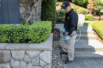 Stop Bugging Me Pest Control - Photo 7 - Car repair in Seattle, WA, Seattle