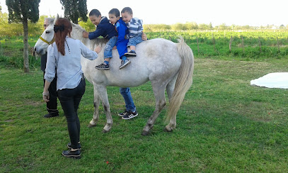 Guarderia y Criadero Canino 'CAMPO VERDE'