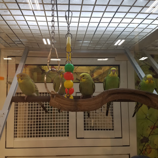Pet Supply Store «PetSmart», reviews and photos, 8537 W Grand River Ave, Brighton, MI 48116, USA