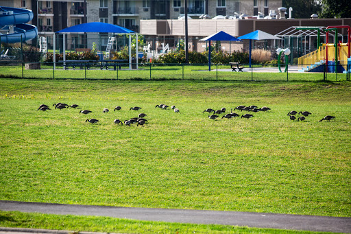 Park «Oak Lawn Park District», reviews and photos, 9401 Oak Park Ave, Oak Lawn, IL 60453, USA