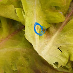 Photo n°1 de l'avis de Peter.l fait le 09/09/2023 à 15:43 sur le  Cafe Extrablatt Freiburg à Freiburg im Breisgau