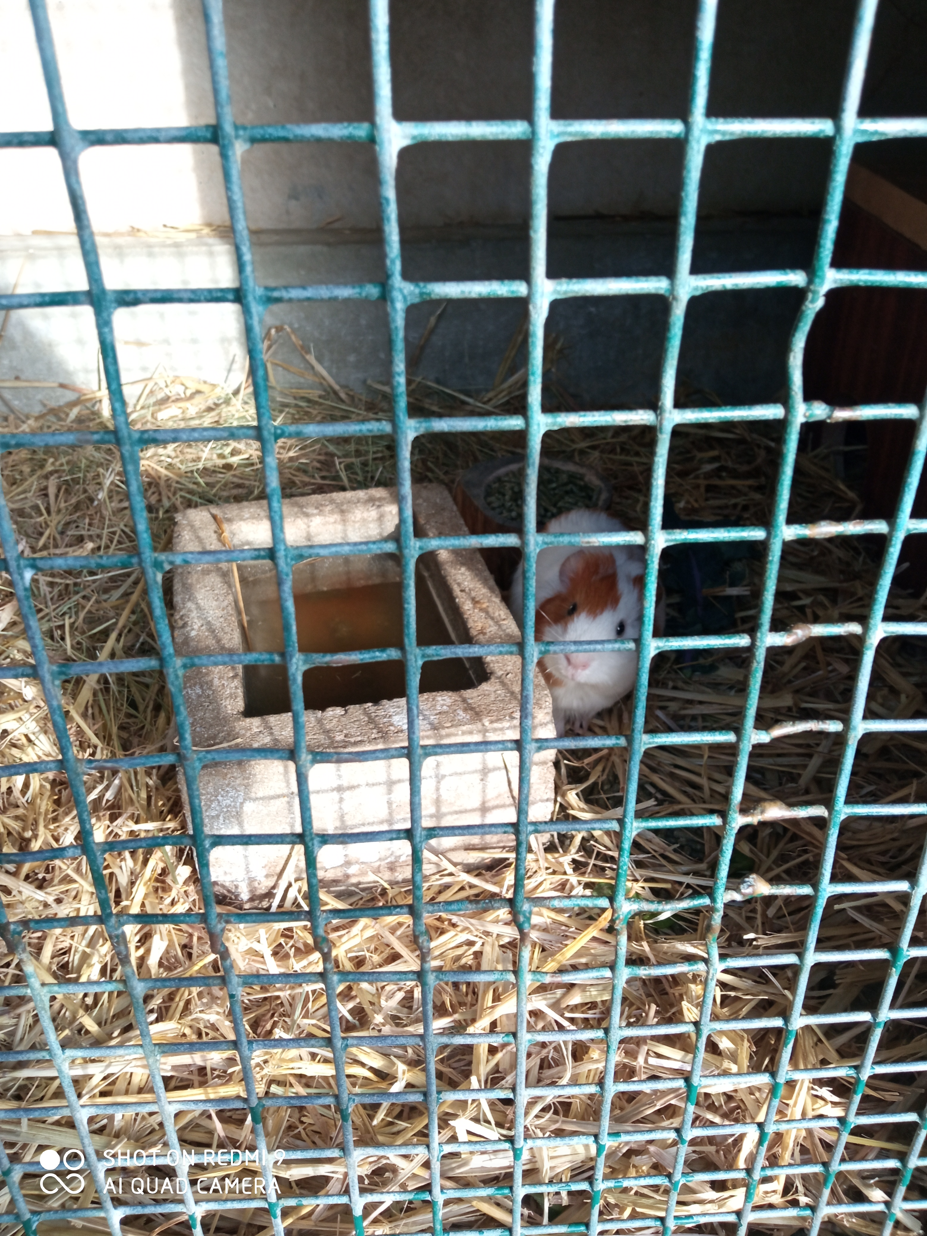 Photo n° 18 de l'avis de reseauoutremer.2 fait le 07/11/2020 à 18:39