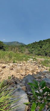 Du lịch sinh thái Suối Mơ by null
