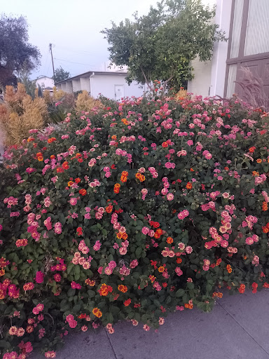 Memorial Park «Veterans Memorial Park», reviews and photos