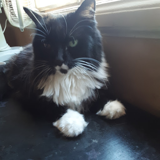 Pet Supply Store «Centinela Feed», reviews and photos, 16571 Ventura Blvd, Encino, CA 91436, USA