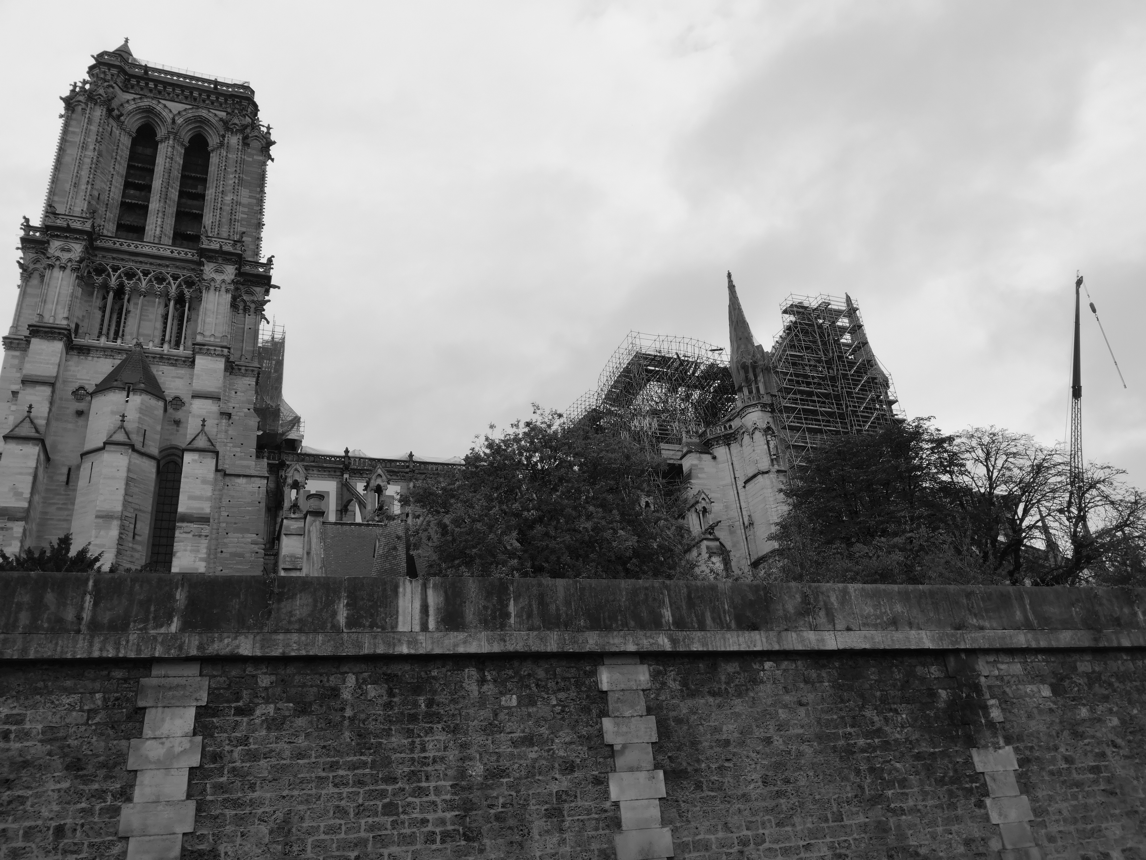 Photo n° 9 de l'avis de Pierre-Yves.� fait le 10/11/2019 à 16:00