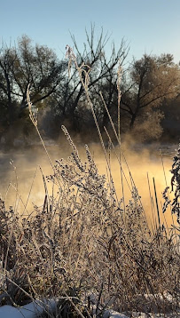 Joleen Sanchez Photography - Photo 5 - Car repair in , Lakewood