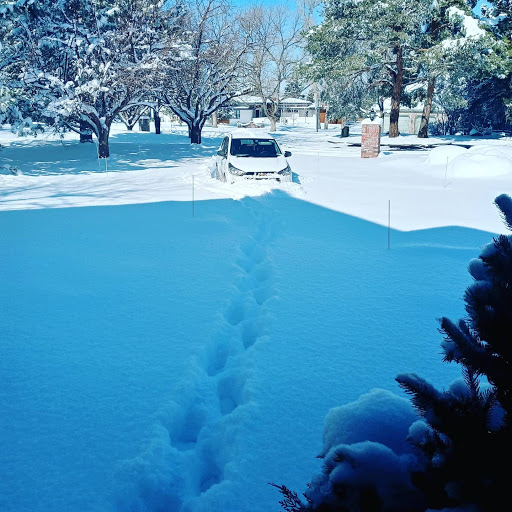 House Cleaning Service «First Class Housekeeping & Maid Service», reviews and photos, 1111 Broadway #208, Denver, CO 80203, USA