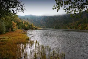 Plešné Lake image