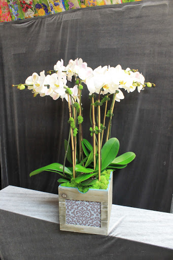 Florist «Scarlet Flowers Inc», reviews and photos, 3098 Brighton 1st Pl, Brooklyn, NY 11235, USA