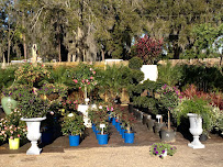 Lord's Farm and Nursery Landscaping - Photo 3 - Car repair in , Jacksonville