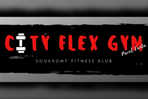 City Flex Gym - Pavel Fanta image