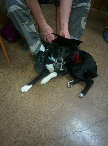 Pet Supply Store «PetSmart», reviews and photos, 1140 W Elliot Rd, Tempe, AZ 85284, USA