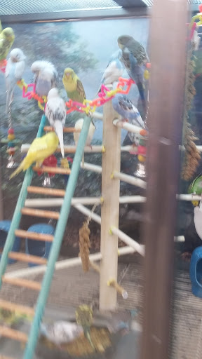 Pet Supply Store «Petco Animal Supplies», reviews and photos, 1215-1309 NJ-33 #1, Hamilton Township, NJ 08690, USA