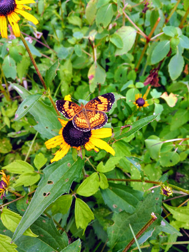 Water Park «Wetlands Water Park», reviews and photos, 1523 TN-81 Truck, Jonesborough, TN 37659, USA