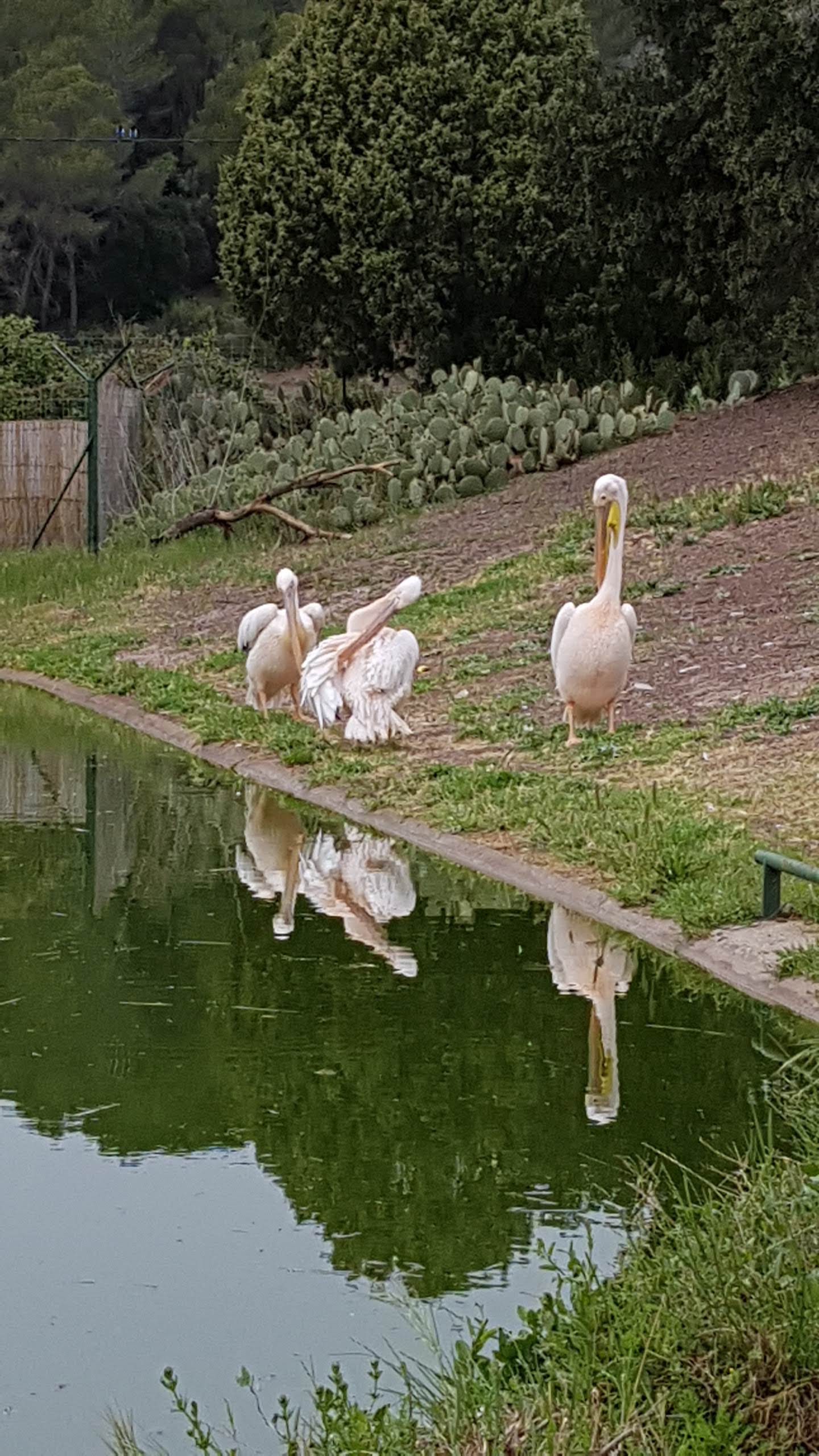 Photo n° 33 de l'avis de Isabelle.e fait le 16/04/2019 à 22:21