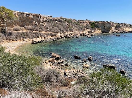 Turtle Beach, Protaras