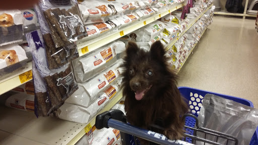 Pet Supply Store «PetSmart», reviews and photos, 6046 Marsha Sharp Fwy, Lubbock, TX 79407, USA