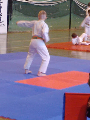 Karaté Club Nippon Wado Kai à Sarreguemines