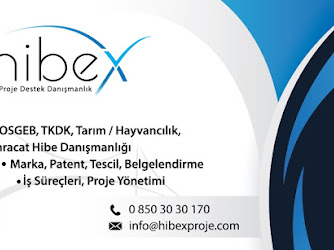 hibeX Proje Ofisi | İş Geliştirme ve Danışmanlık