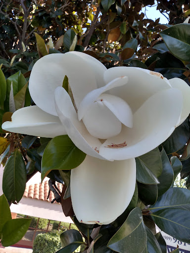 Asian Grocery Store «Asian Grocery & Spices», reviews and photos, 9255 Base Line Rd F, Rancho Cucamonga, CA 91730, USA