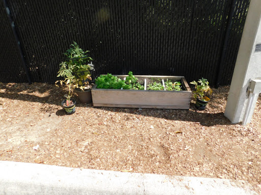 Learning Center «Little Sunshine Preschool & Learning Center», reviews and photos, 9316 Little Rd, New Port Richey, FL 34654, USA