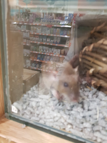 Pets at Home Colchester - Colchester
