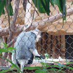 Photo n° 19 de l'avis de Arbey.n fait le 11/07/2023 à 17:07 pour ZooParc de Beauval Entrée Nord à Saint-Aignan