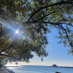 Photo n°1 de l'avis de Alessandro.a fait le 17/08/2021 à 09:47 sur le  Buonaventura Baretto on Lamone à Casal Borsetti