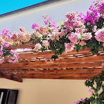 Photo n°1 de l'avis de Anna.a fait le 05/08/2022 à 21:44 sur le  Vannulo mozzarelle à Capaccio Scalo