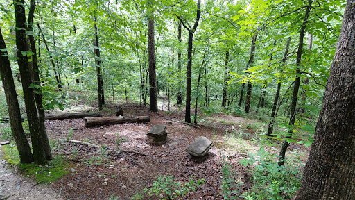 Park «Allsopp Park», reviews and photos, 3700 Cedar Hill Rd, Little Rock, AR 72202, USA