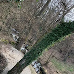 Photo n° 6 de l'avis de Béatrice.I fait le 14/02/2022 à 10:48 pour Le Petit Meunier à Messimy