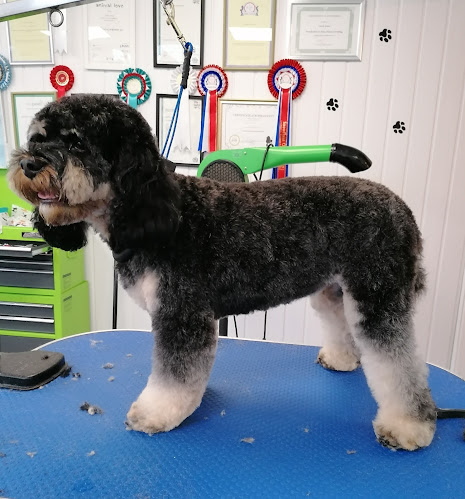 Comments and reviews of Posh Dog Pet Grooming