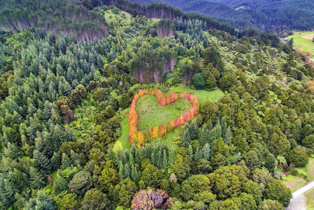 The Rosie Heart of BusinessWorks of New Zealand - Warkworth