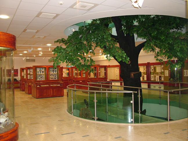 Mátra Múzeum - Gyöngyös