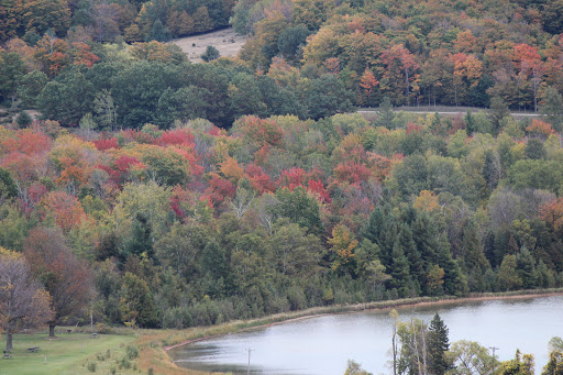 Tourist Attraction «Dune Climb», reviews and photos, 6748 S Dune Hwy, Glen Arbor, MI 49636, USA