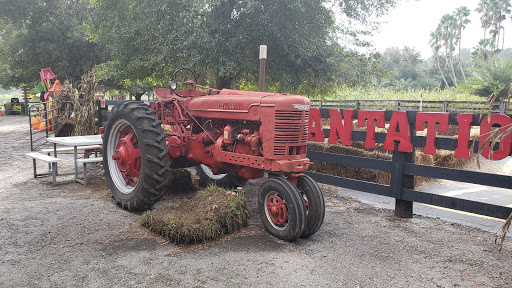 Event Venue «Club Lake Plantation Wedding Venue», reviews and photos, 3403 Rock Springs Rd, Apopka, FL 32712, USA