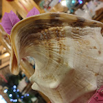 Photo n°12 de l'avis de Cristy. fait le 28/08/2021 à 08:09 sur le  Hawaiki à Bellaria - Igea Marina