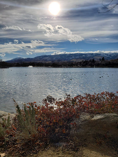 Swimming lake Reno
