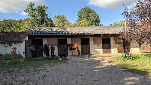 Centre equestre la rose des vents à Varennes-Vauzelles