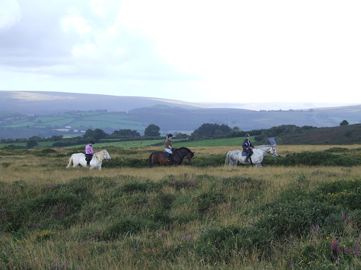 Shilstone Rocks Riding Centre