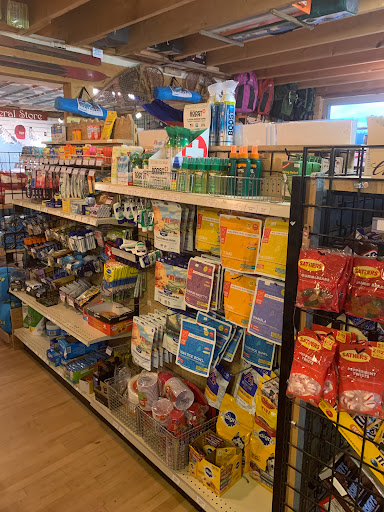 Grocery Store «Twin Lakes General Store», reviews and photos, 6451 CO-82, Twin Lakes, CO 81251, USA