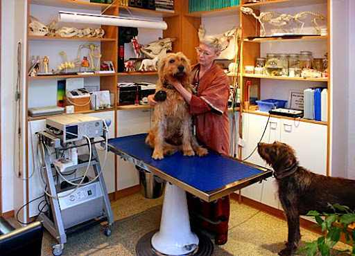 Tierarztpraxis Dr. Michels-Rosbach unter Kaiserslautern, 