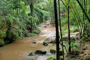 Cânions do Rio Perauna image